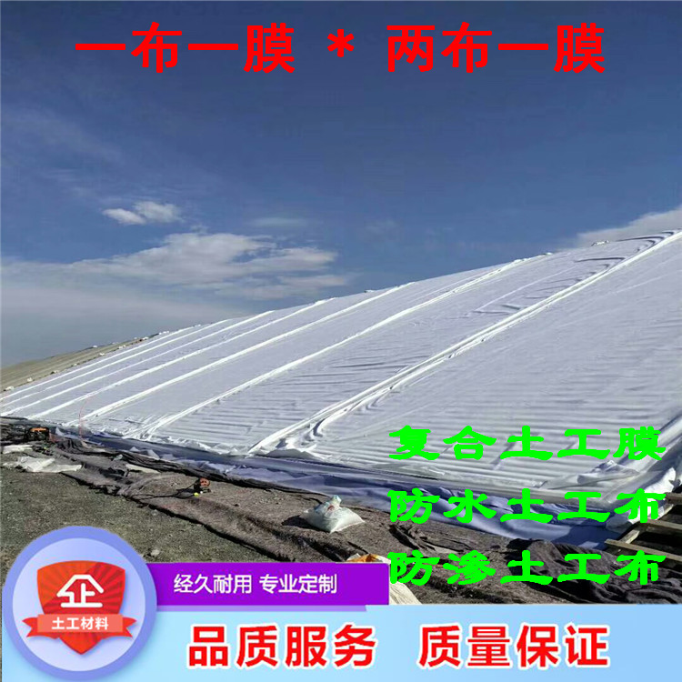 手机图片 437.jpg